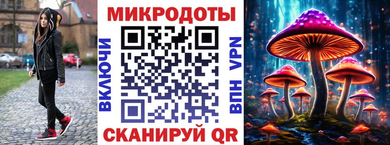 как найти   Ворсма  Псилоцибиновые грибы ЛСД 
